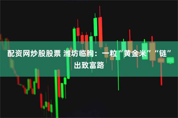 配资网炒股股票 潍坊临朐：一粒“黄金米”“链”出致富路