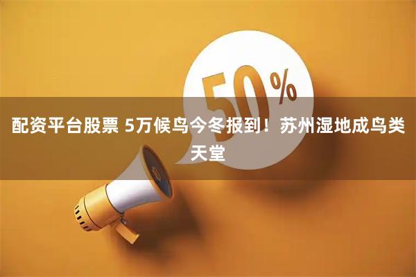 配资平台股票 5万候鸟今冬报到！苏州湿地成鸟类天堂